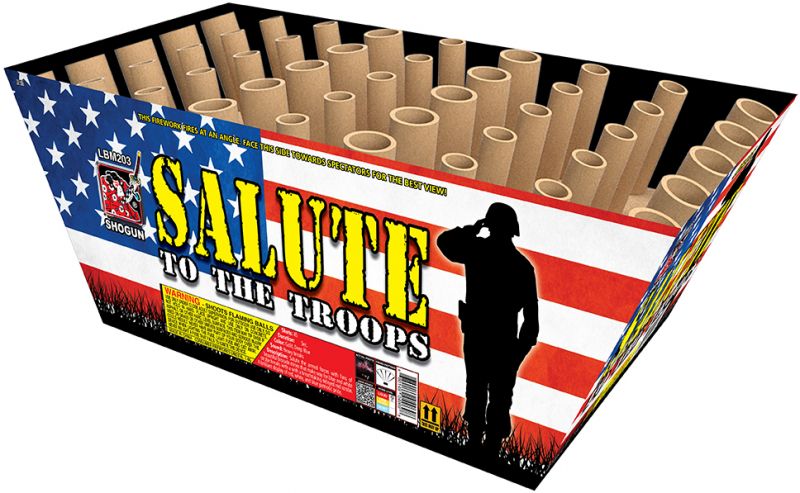 SALUTE TO THE TROOPS